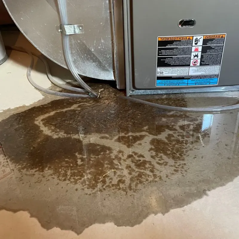 Pipe Burst and Leak Restoration in Fort Wright, KY